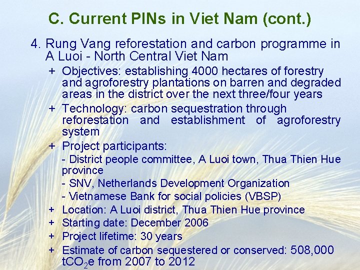C. Current PINs in Viet Nam (cont. ) 4. Rung Vang reforestation and carbon