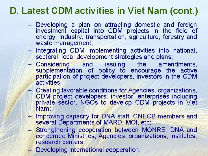 D. Latest CDM activities in Viet Nam (cont. ) – Developing a plan on