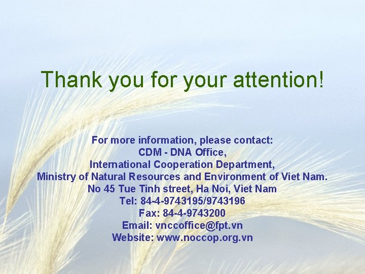 Thank you for your attention! For more information, please contact: CDM - DNA Office,