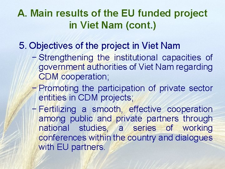 A. Main results of the EU funded project in Viet Nam (cont. ) 5.