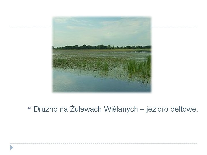  Druzno na Żuławach Wiślanych – jezioro deltowe. 