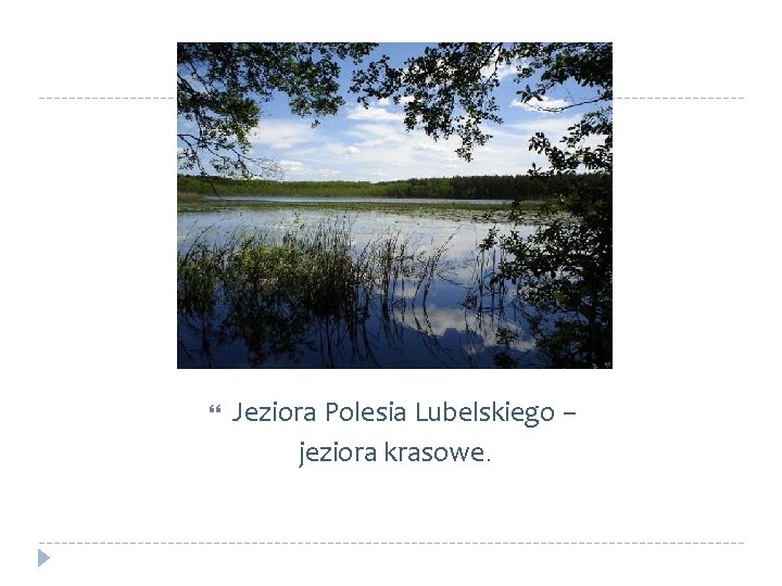  Jeziora Polesia Lubelskiego – jeziora krasowe. 