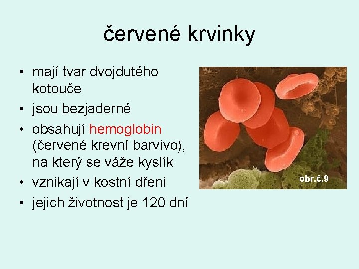 červené krvinky • mají tvar dvojdutého kotouče • jsou bezjaderné • obsahují hemoglobin (červené