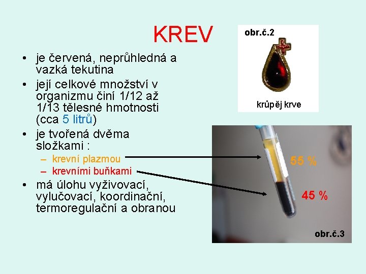 KREV • je červená, neprůhledná a vazká tekutina • její celkové množství v organizmu