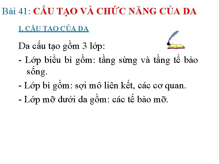 Bài 41: CẤU TẠO VÀ CHỨC NĂNG CỦA DA I. CẤU TẠO CỦA DA