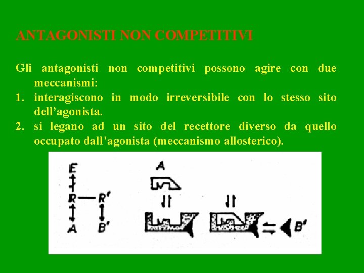 ANTAGONISTI NON COMPETITIVI Gli antagonisti non competitivi possono agire con due meccanismi: 1. interagiscono