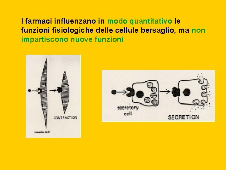 I farmaci influenzano in modo quantitativo le funzioni fisiologiche delle cellule bersaglio, ma non