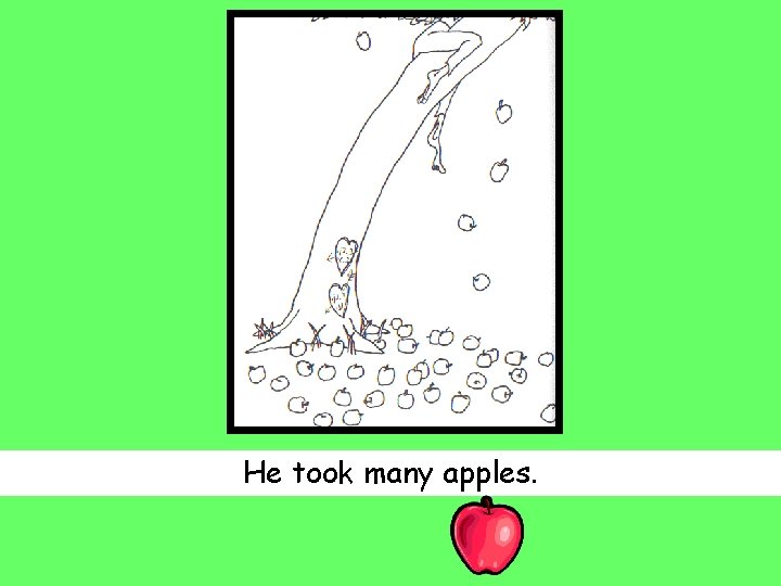 He took many apples. 