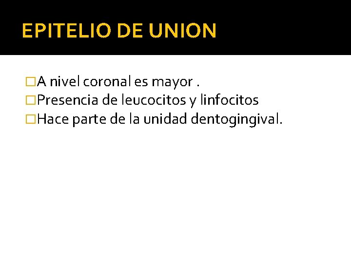 EPITELIO DE UNION �A nivel coronal es mayor. �Presencia de leucocitos y linfocitos �Hace