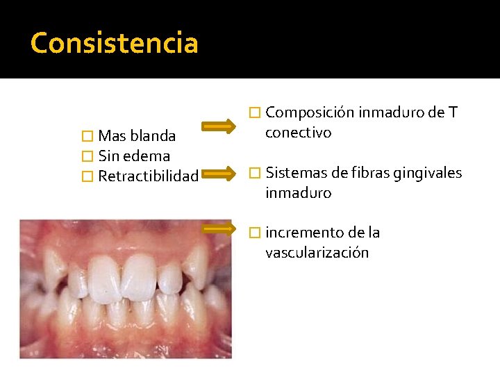 Consistencia � Composición inmaduro de T � Mas blanda � Sin edema � Retractibilidad