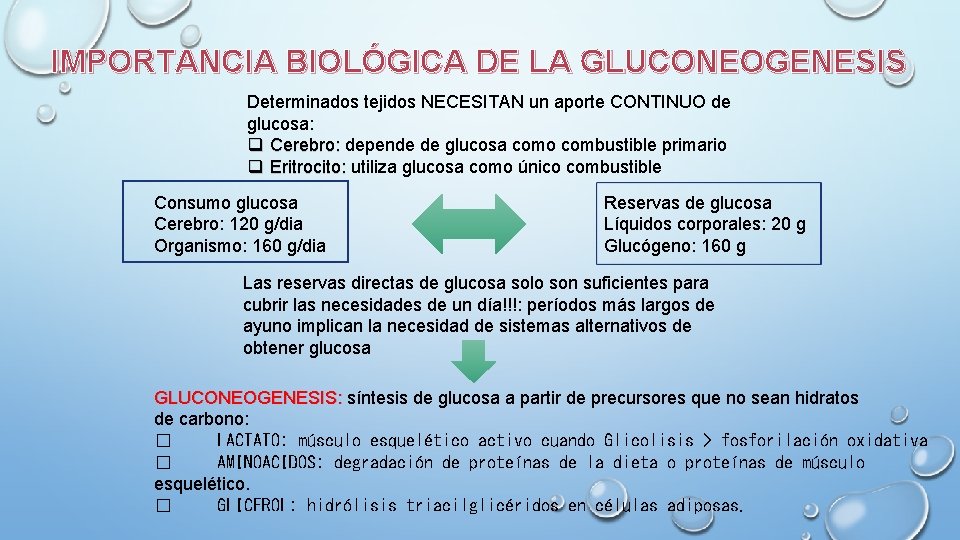 IMPORTANCIA BIOLÓGICA DE LA GLUCONEOGENESIS Determinados tejidos NECESITAN un aporte CONTINUO de glucosa: q