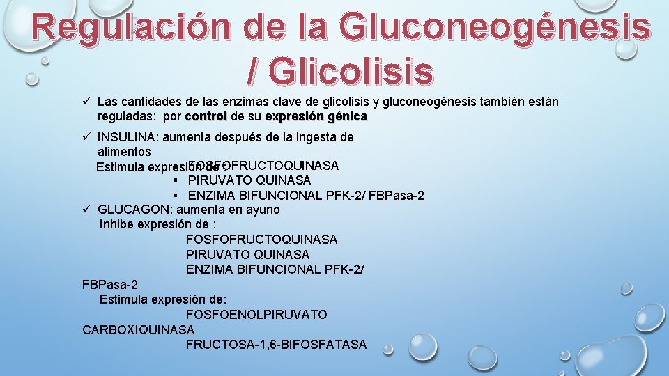 Regulación de la Gluconeogénesis / Glicolisis ü Las cantidades de las enzimas clave de