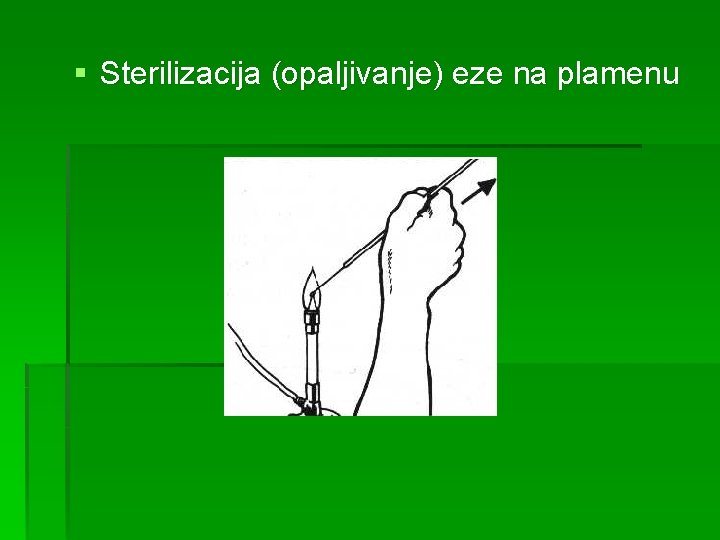 § Sterilizacija (opaljivanje) eze na plamenu 