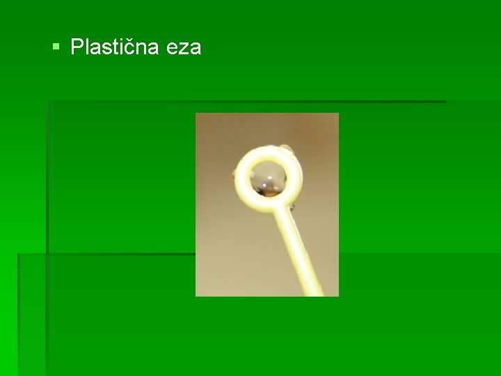 § Plastična eza 