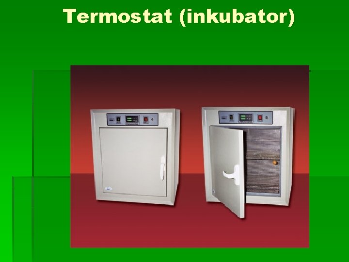 Termostat (inkubator) 