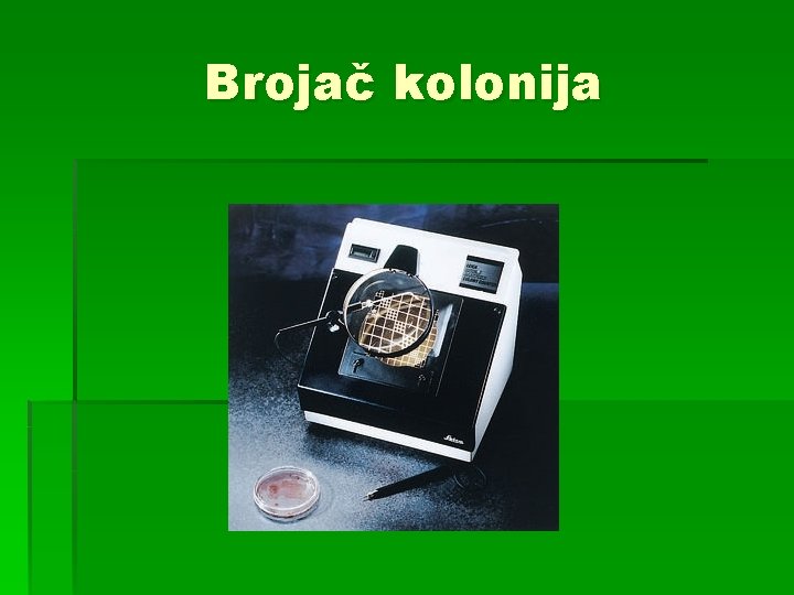 Brojač kolonija 