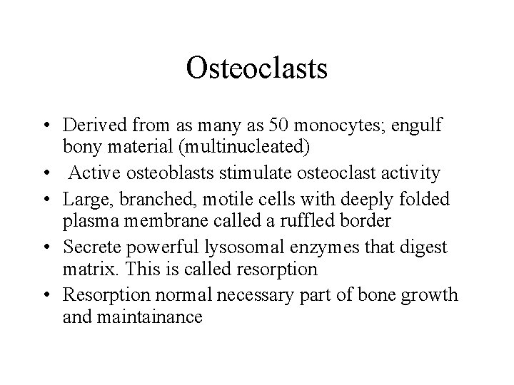 Osteoclasts • Derived from as many as 50 monocytes; engulf bony material (multinucleated) •