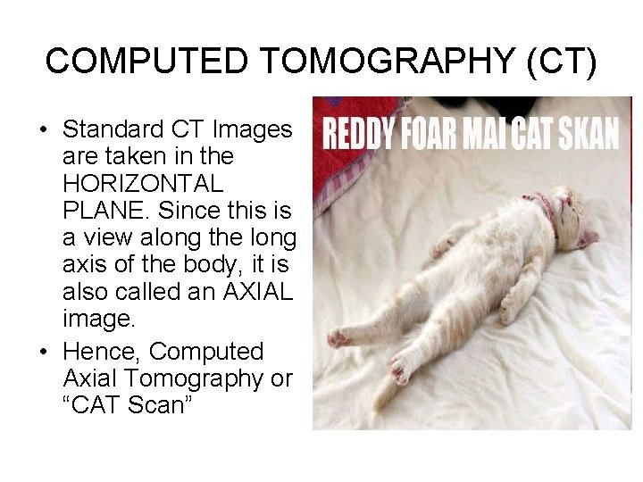 COMPUTED TOMOGRAPHY (CT) • Standard CT Images are taken in the HORIZONTAL PLANE. Since
