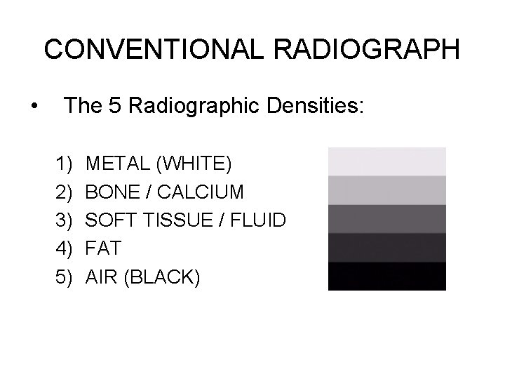 CONVENTIONAL RADIOGRAPH • The 5 Radiographic Densities: 1) 2) 3) 4) 5) METAL (WHITE)