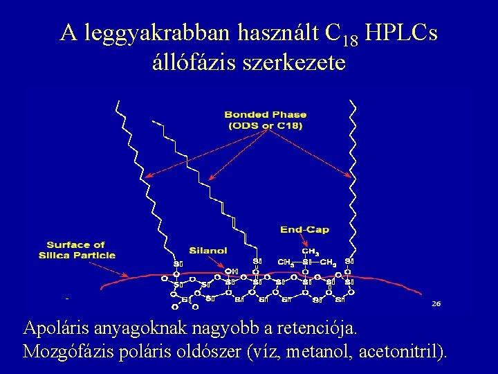 A leggyakrabban használt C 18 HPLCs állófázis szerkezete Apoláris anyagoknak nagyobb a retenciója. Mozgófázis A leggyakrabban használt C 18 HPLCs állófázis szerkezete Apoláris anyagoknak nagyobb a retenciója. Mozgófázis