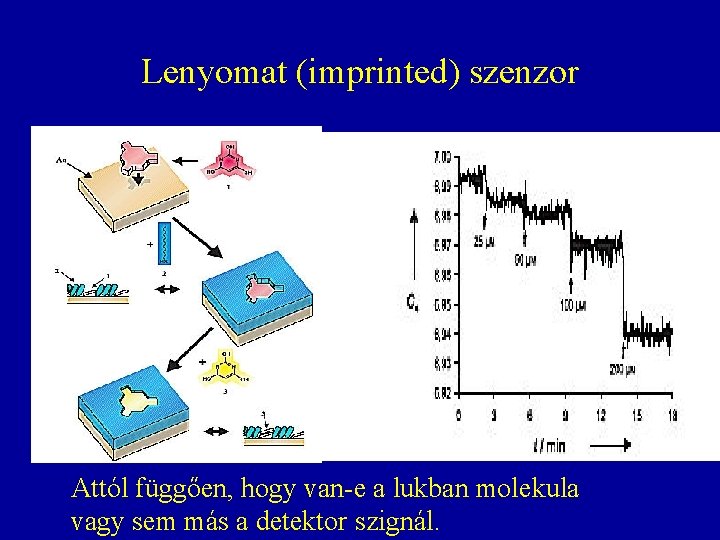 Lenyomat (imprinted) szenzor Attól függően, hogy van-e a lukban molekula vagy sem más a Lenyomat (imprinted) szenzor Attól függően, hogy van-e a lukban molekula vagy sem más a