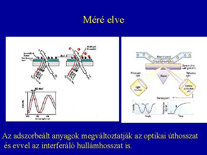 Méré elve Az adszorbeált anyagok megváltoztatják az optikai úthosszat és evvel az interferáló hullámhosszat Méré elve Az adszorbeált anyagok megváltoztatják az optikai úthosszat és evvel az interferáló hullámhosszat