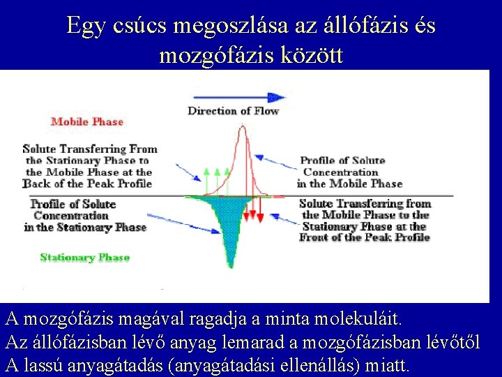 Egy csúcs megoszlása az állófázis és mozgófázis között A mozgófázis magával ragadja a minta Egy csúcs megoszlása az állófázis és mozgófázis között A mozgófázis magával ragadja a minta