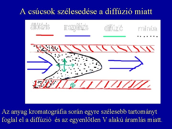 A csúcsok szélesedése a diffúzió miatt Az anyag kromatográfia során egyre szélesebb tartományt foglal A csúcsok szélesedése a diffúzió miatt Az anyag kromatográfia során egyre szélesebb tartományt foglal