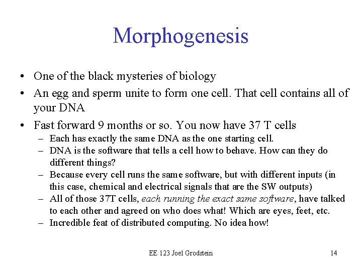 Morphogenesis • One of the black mysteries of biology • An egg and sperm
