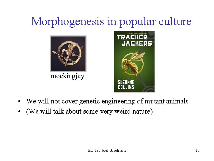 Morphogenesis in popular culture mockingjay • We will not cover genetic engineering of mutant