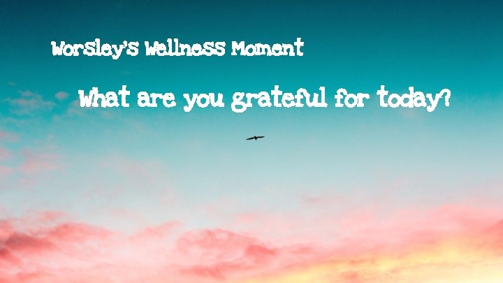 Worsley’s Wellness Moment What are you grateful for today? 