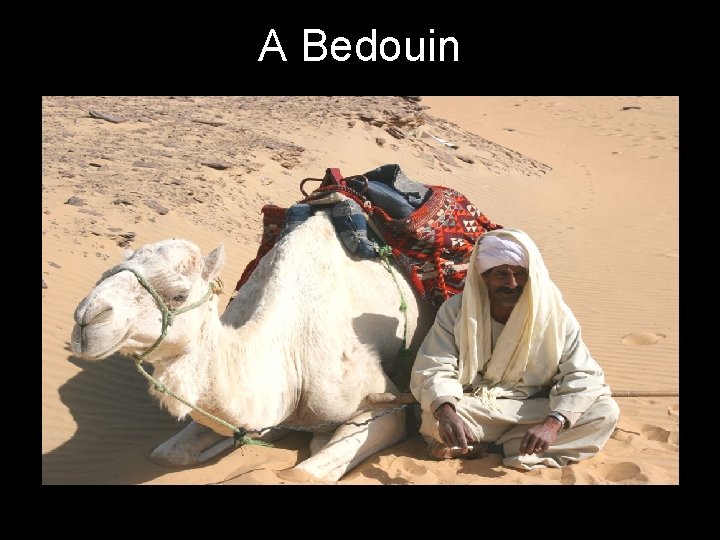 A Bedouin 