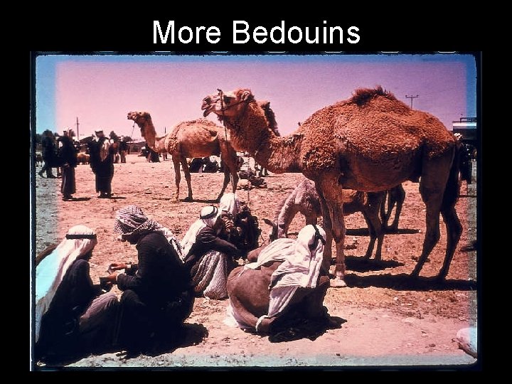 More Bedouins 