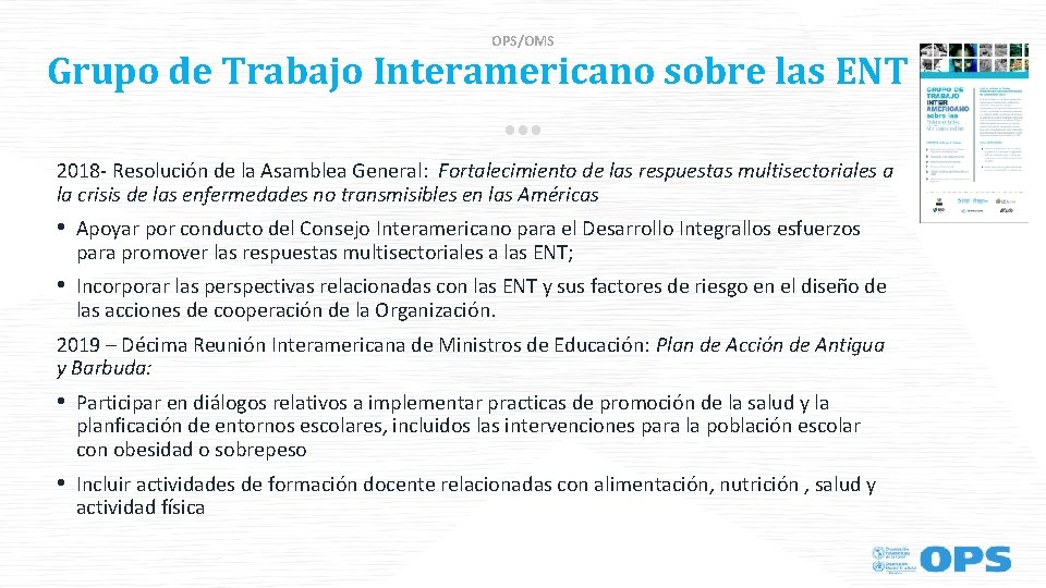 OPS/OMS Grupo de Trabajo Interamericano sobre las ENT 2018 - Resolución de la Asamblea