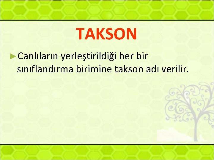 TAKSON ►Canlıların yerleştirildiği her bir sınıflandırma birimine takson adı verilir. 