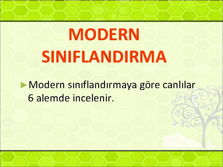 MODERN SINIFLANDIRMA ►Modern sınıflandırmaya göre canlılar 6 alemde incelenir. 