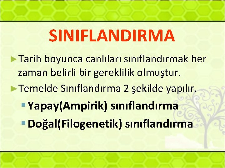 SINIFLANDIRMA ►Tarih boyunca canlıları sınıflandırmak her zaman belirli bir gereklilik olmuştur. ►Temelde Sınıflandırma 2