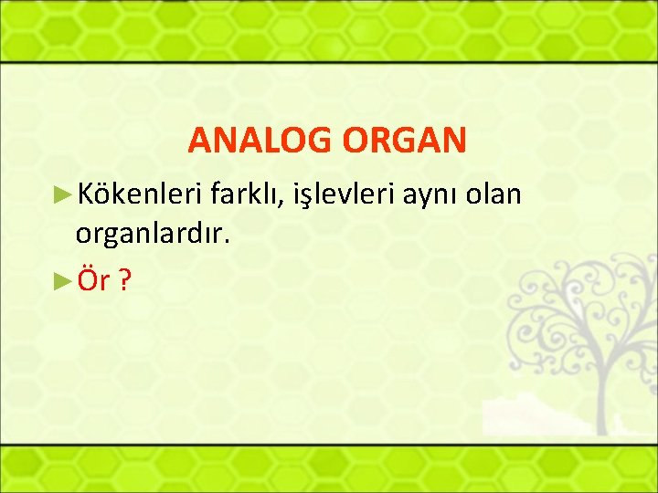 ANALOG ORGAN ►Kökenleri farklı, işlevleri aynı olan organlardır. ►Ör ? 