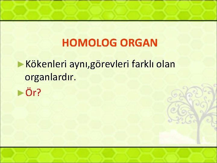 HOMOLOG ORGAN ►Kökenleri aynı, görevleri farklı olan organlardır. ►Ör? 