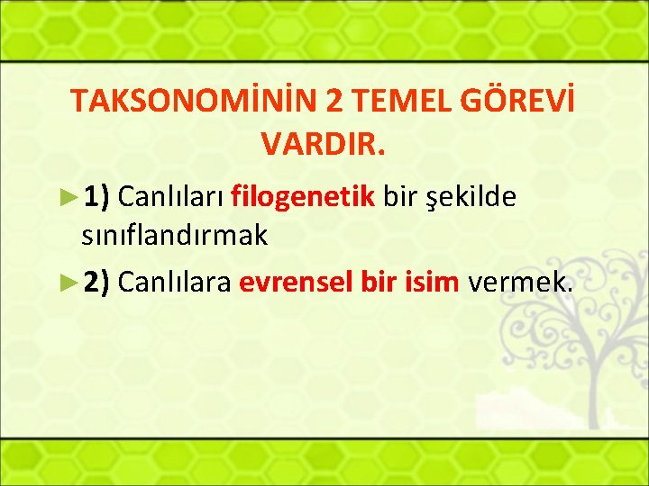 TAKSONOMİNİN 2 TEMEL GÖREVİ VARDIR. ► 1) Canlıları filogenetik bir şekilde sınıflandırmak ► 2)