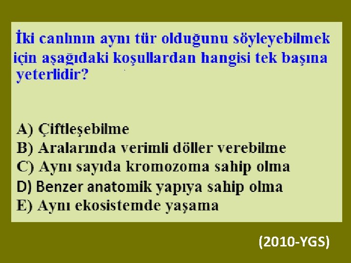 (2010 -YGS) 
