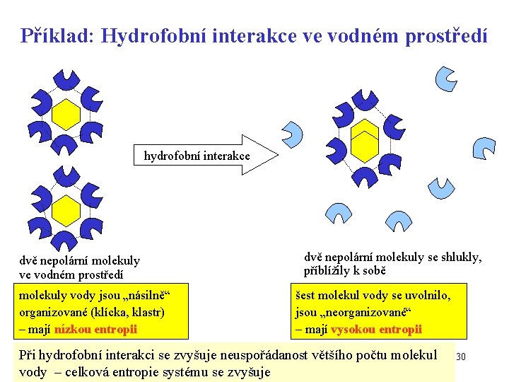 Příklad: Hydrofobní interakce ve vodném prostředí hydrofobní interakce dvě nepolární molekuly ve vodném prostředí