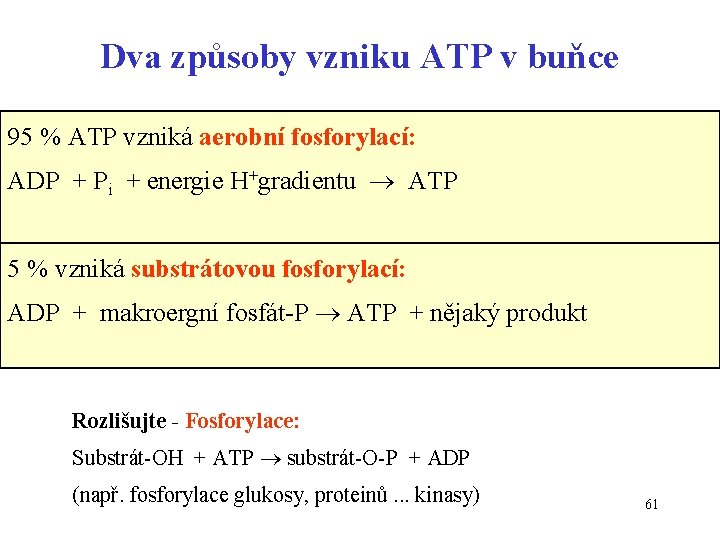 Dva způsoby vzniku ATP v buňce 95 % ATP vzniká aerobní fosforylací: ADP +