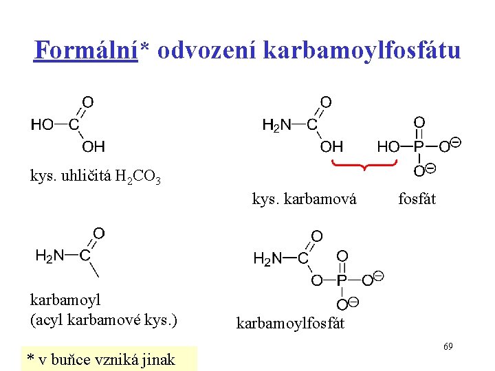 Formální* odvození karbamoylfosfátu kys. uhličitá H 2 CO 3 kys. karbamová karbamoyl (acyl karbamové