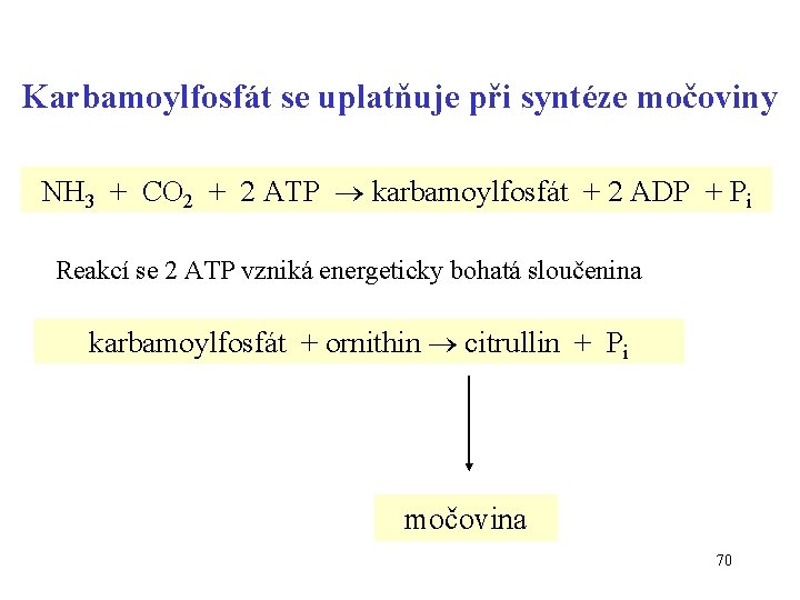 Karbamoylfosfát se uplatňuje při syntéze močoviny NH 3 + CO 2 + 2 ATP