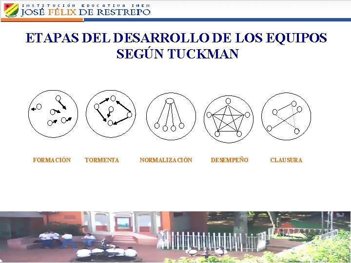 ETAPAS DEL DESARROLLO DE LOS EQUIPOS SEGÚN TUCKMAN FORMACIÓN TORMENTA NORMALIZACIÓN DESEMPEÑO CLAUSURA 