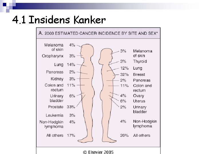 4. 1 Insidens Kanker 