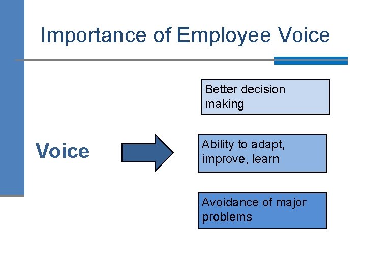 Importance of Employee Voice Better decision making Voice Ability to adapt, improve, learn Avoidance