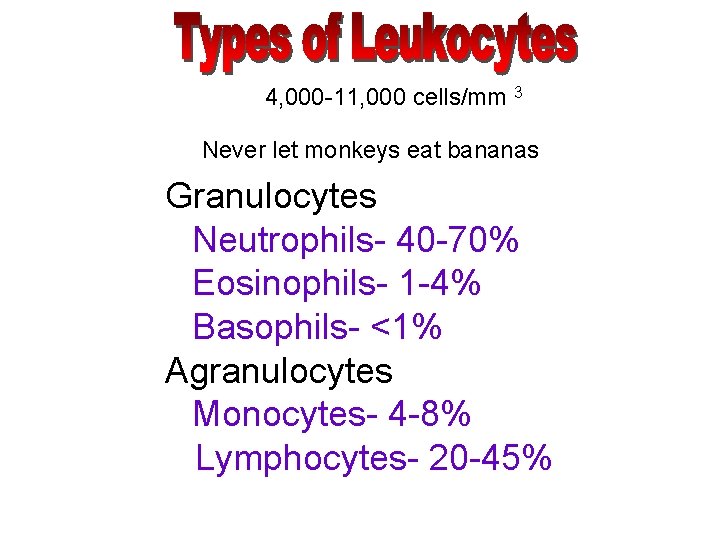 4, 000 -11, 000 cells/mm 3 Never let monkeys eat bananas Granulocytes Neutrophils- 40