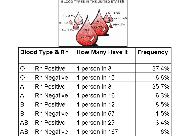 Blood Type & Rh How Many Have It O O A A B B